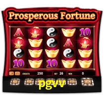 Interface Premium pgvv